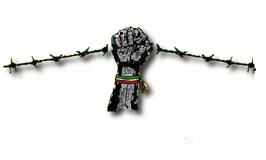 Cry for Freedom